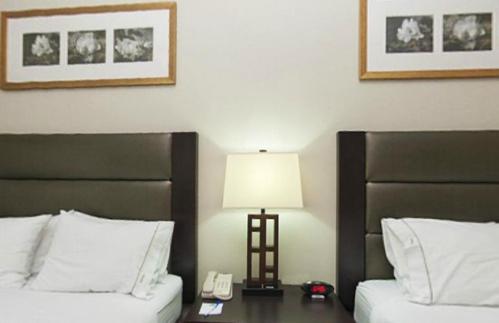 Holiday Inn Express Hotel & Suites Ottawa Airport By Ihg Cameră foto